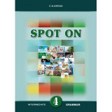 Spot On Grammar Test Booklet