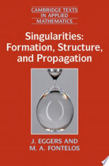 Singularities: Formation, Structure, and Propagation