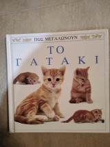 Το γατάκι