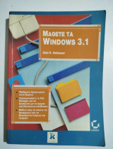 Μάθετε τα Windows 3.1