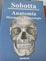 Anatomía