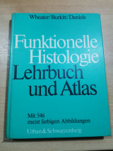 Funktionelle Histologie Lehrbuch und Atlas