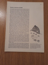 World of wildlife, Vol. 2, Pt. 26