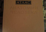 Атлас анатомии человека, том 3, Синельников Р.Д., 1978
