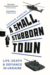 A small stubborn town