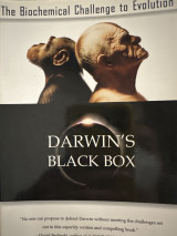 Darwin's black box
