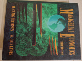 Managerial Economics