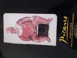 Picasso