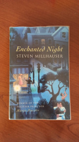 Enchanted Night