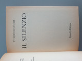 Il silenzio