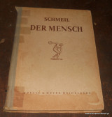 Der Mensch