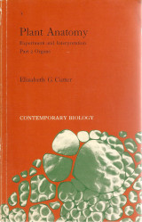 Plant Anatomy