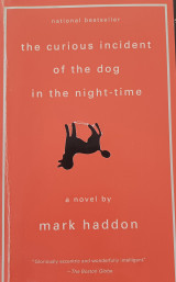 The curious incident of the dog in the night-time
