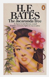 The Jacaranda Tree
