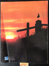 Birds Volume 23 No 2. Waking up to corncrakes Space for nature land for life. Eagle splendour.