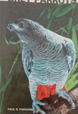 African Grey Parrots