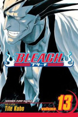 Bleach, Vol. 13 v. 13