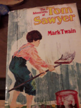 The adventures of Tom Sawyer
