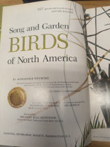 Song And Garden Birds Of North America