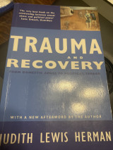 Trauma and Recovery from domestic abuse to political terror