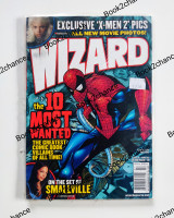 Wizard Spiderman 138