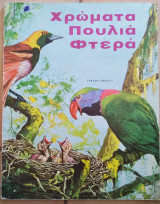 Χρώματα πουλιά φτερά