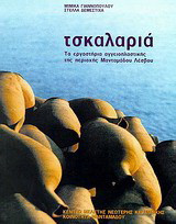 Τσκαλαριά: Τα εργαστήρια αγγειοπλαστικής της περιοχής Μανταμάδου Λέσβου