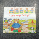 Can I Help , Teddy ?