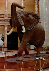 Κάρτα - Smithsonian Institution - 1969 - U.S.A.