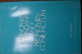 Pronomen Abundans and Pronomen Coniunctum