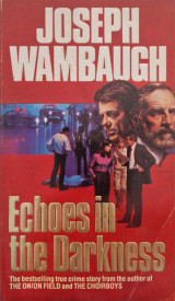 Echoes in the Darkness