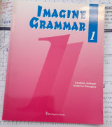 Imagine Grammar 1