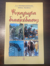 Ψυχαγωγία ή διασκέδαση;