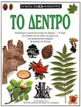 Τα μάτια της ανακάλυψης - το δέντρο