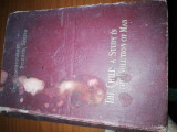 The Child; a Study in the Evolution of Man