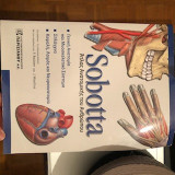 Sobotta