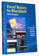 Excel Basics to Blackbelt: An Accelerated Guide to Decision Support Designs 0th Edition