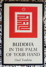 Buddha in the Palm of Your Hand