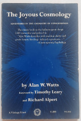 The Joyous Cosmology