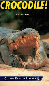 Crocodile!