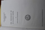 The Phonology of Ptolemaic Koine