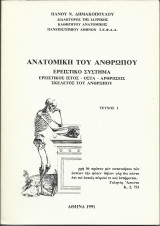 Ανατομική του Ανθρώπου - Ερειστικό Σύστημα