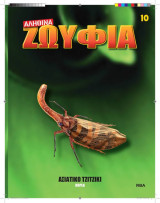 Αληθινά Ζωύφια - Τευχος 10 Ασιατικό Τζιτζίκι