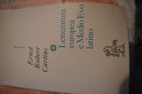 Letteratura europea e medio evo latino