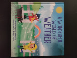 A wonderful world of weather