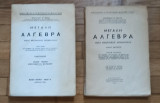 Μεγάλη άλγεβρα, μετά θεωρητικής αριθμητικής. Δύο τόμοι