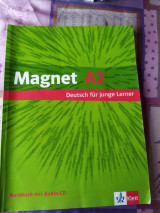 Magnet
