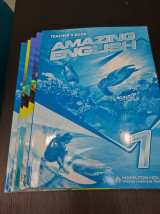 Amazing English 1 teacher's