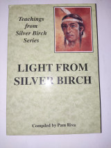 Light from Silver Birch