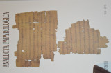 Analecta papyrologica